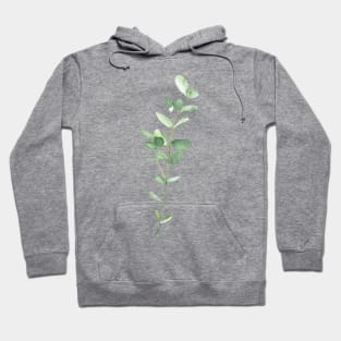 Eucalyptus Hoodie